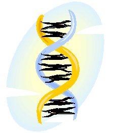 DNA Cartoon From Microsoft Clip Art